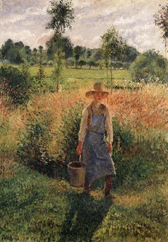 Camille Pissarro The Gardener,Afternoon Sun,Eragny oil painting picture